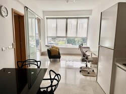 Tribeca (D9), Condominium #457449551